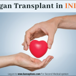 Organ Transplant in India