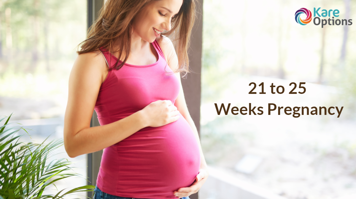 21 to 25 Pregnancy Weeks