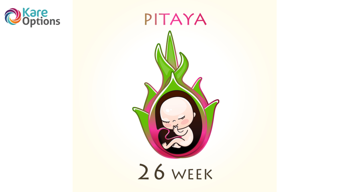 Guide for 26th To 30th Weeks of Pregnancy