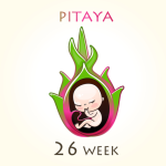 Guide for 26th To 30th Weeks of Pregnancy