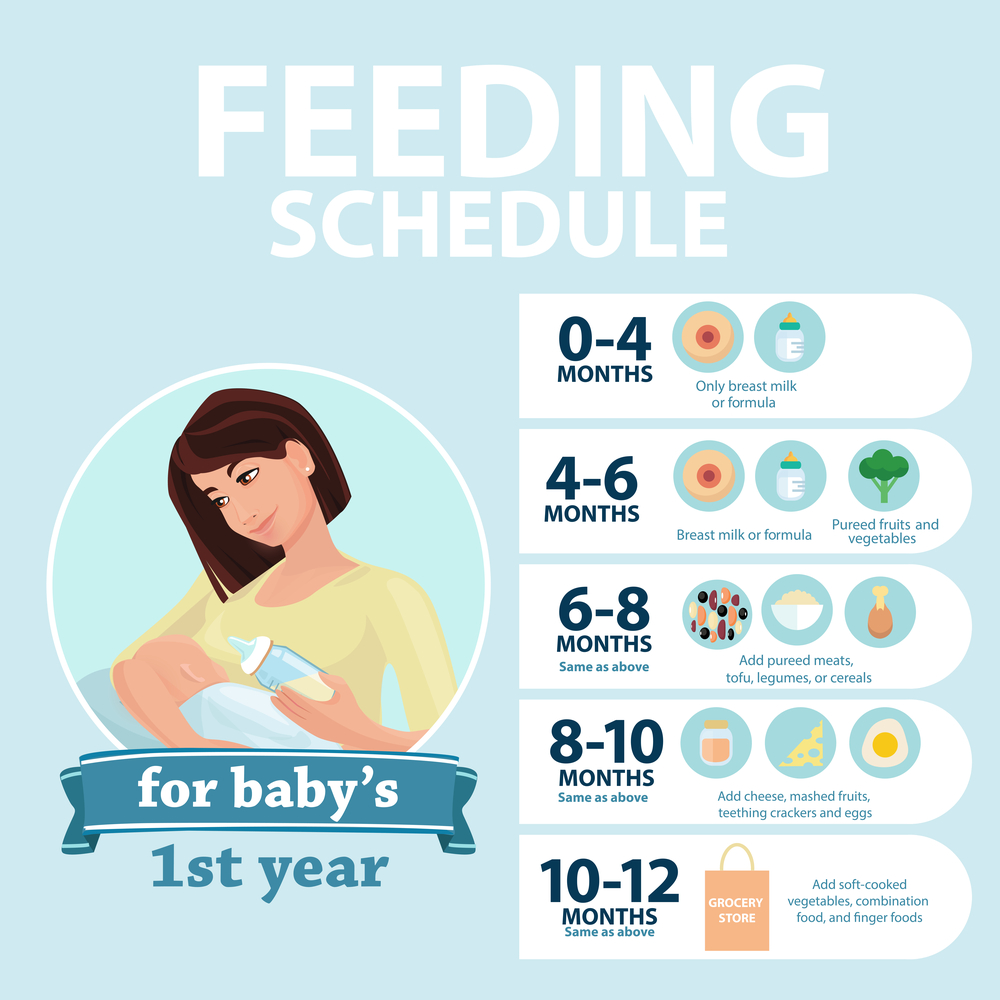 6-month-old feeding schedule: Timetable